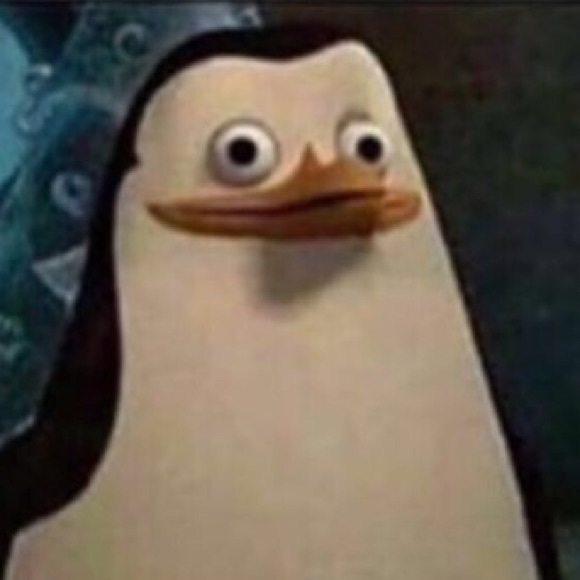 Meet your Posher, Ashton - Picture 1 of 1